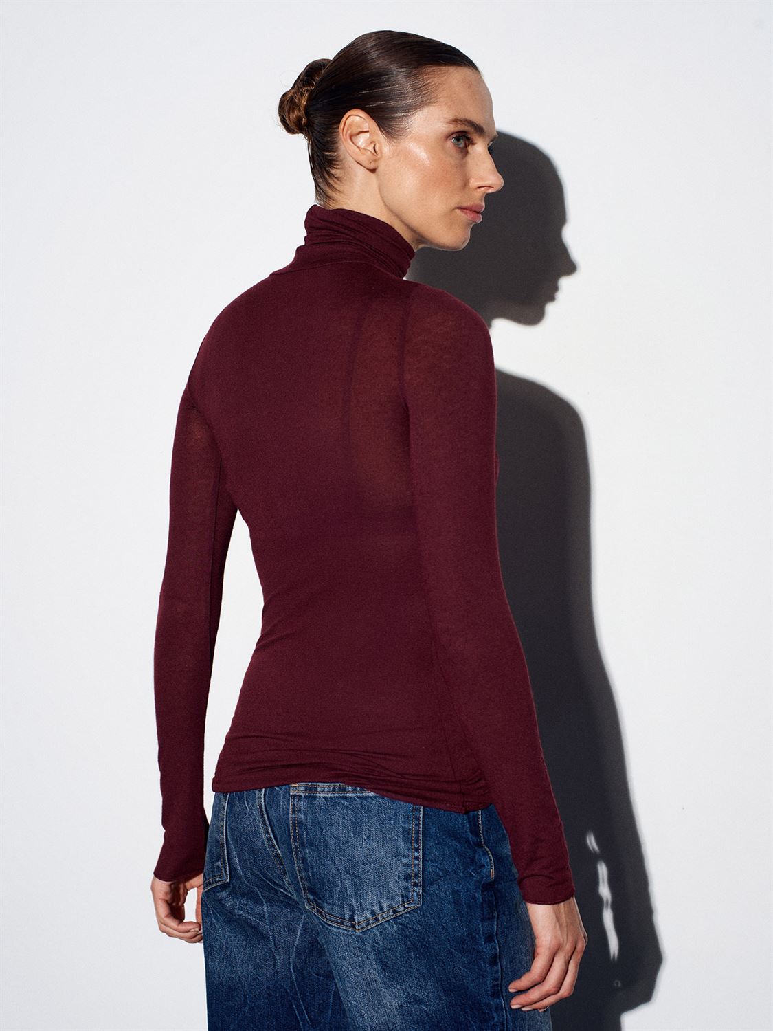 Semi-Sheer High Neck Top