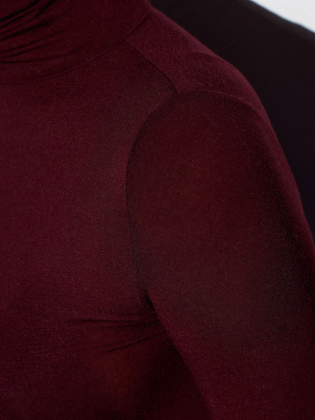 Semi-Sheer High Neck Top