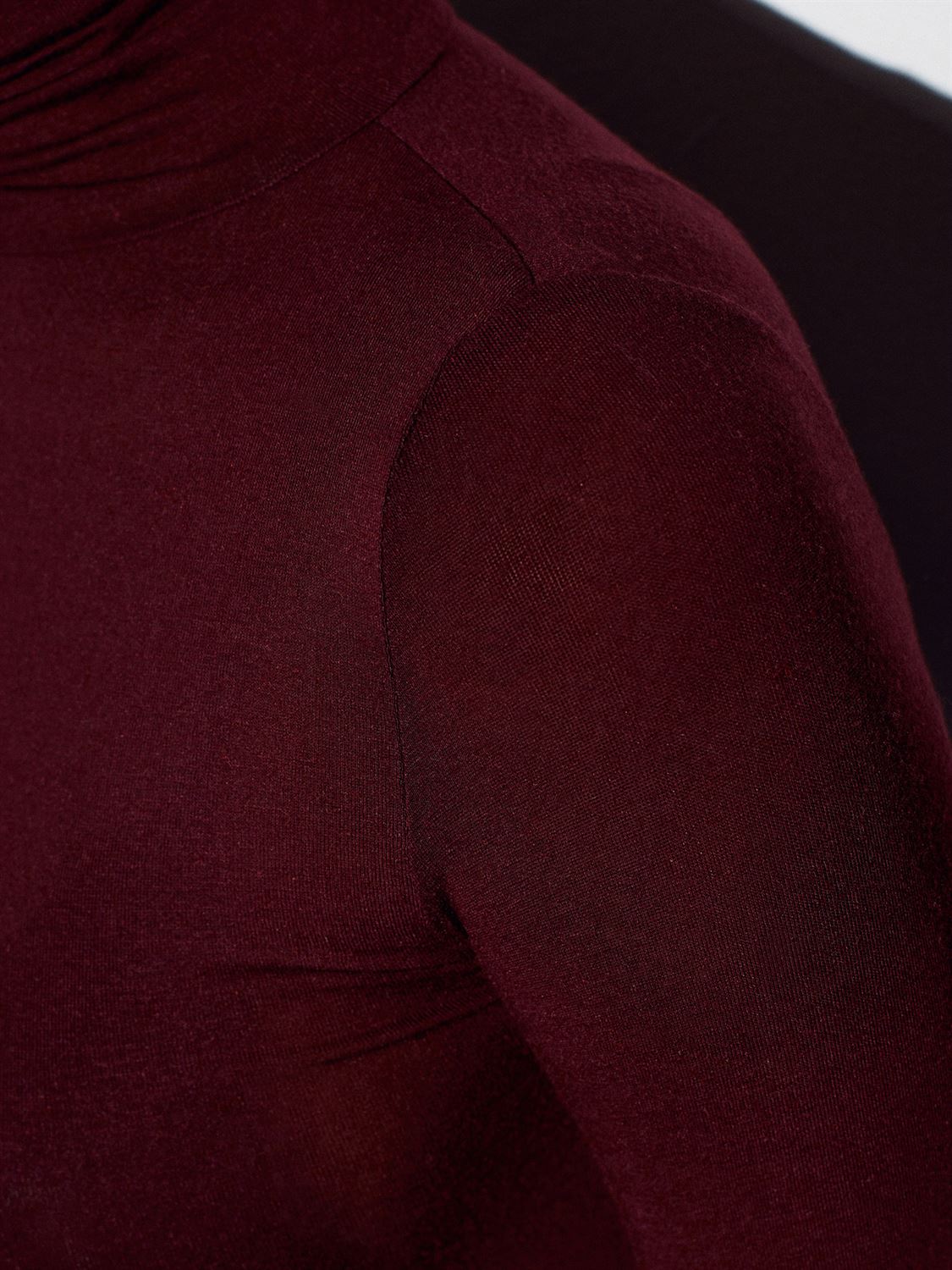 Semi-Sheer High Neck Top